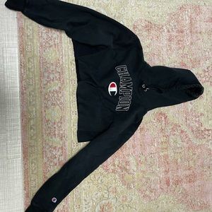 champion cropped hoodie